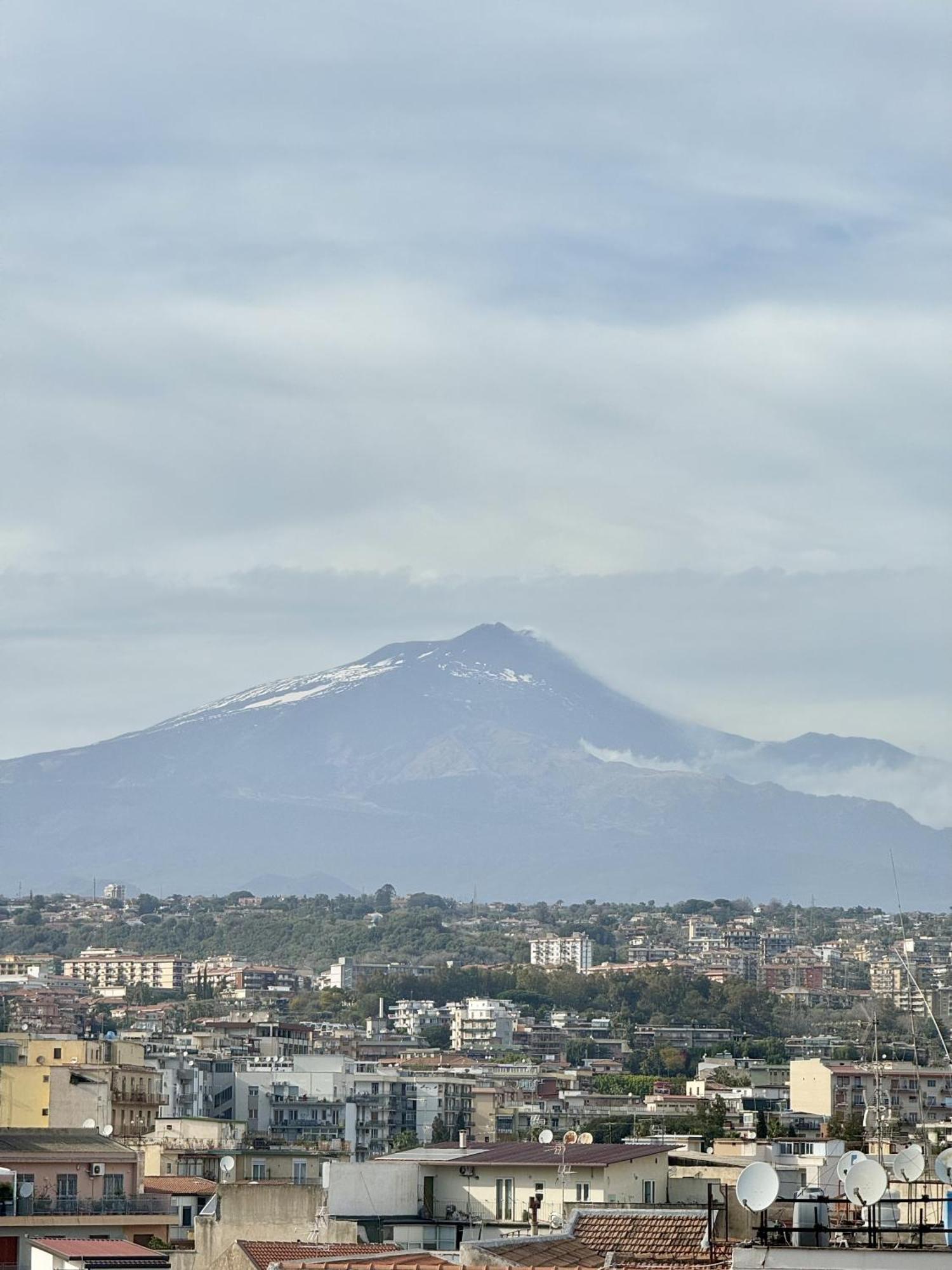 The View 11
