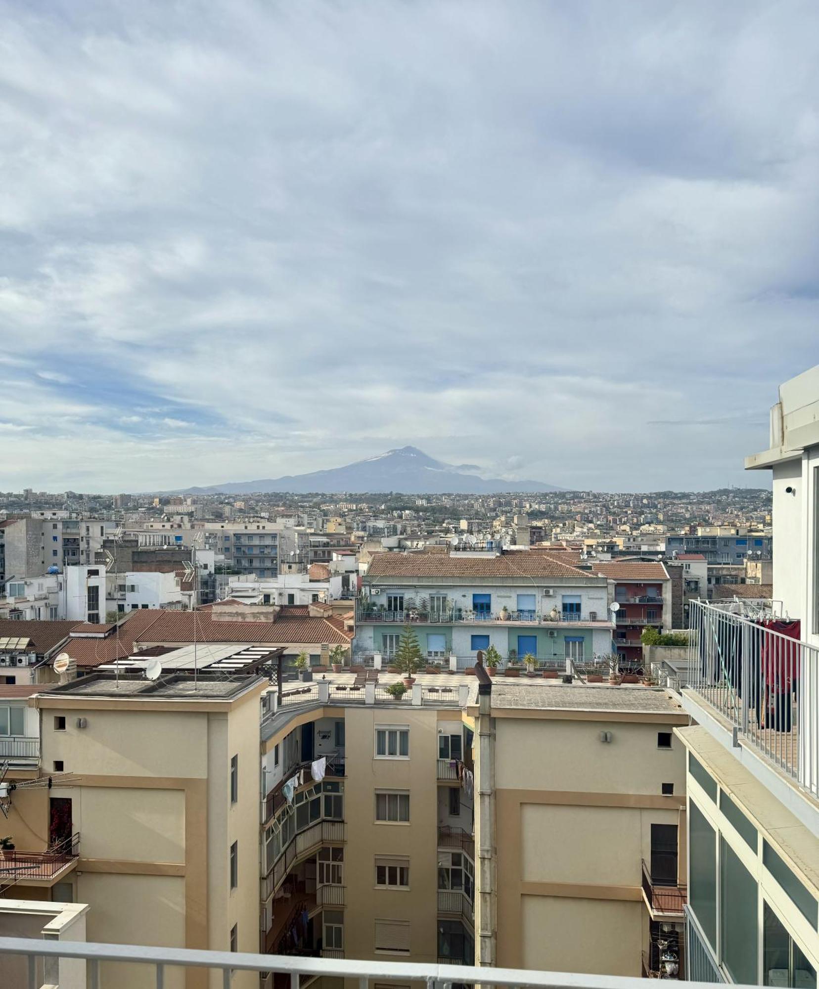 The View 11
